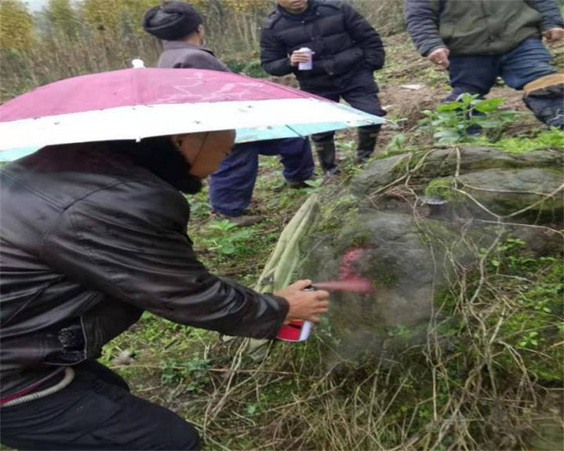 91热亚洲精品在线国产